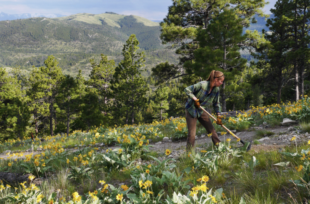 south hills trail work, volunteer mission explore stories prickly pear land trust